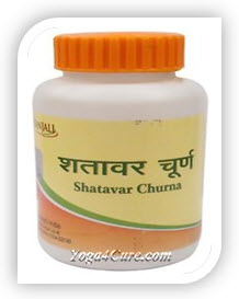 Shatavar Churna By Baba Ramdev Patanjali Ayurved